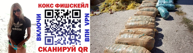 как найти наркотики  blacksprut онион  Cocaine VHQ  Заводоуковск 