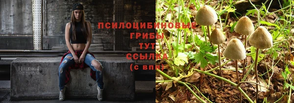 герыч Абинск