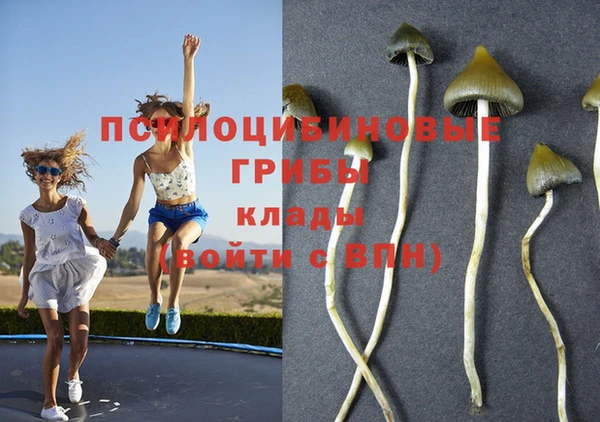 скорость Абаза