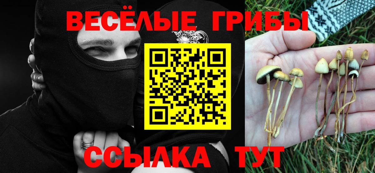 Галлюциногенные грибы прущие грибы  где найти   Заводоуковск  Галлюциногенные грибы ЛСД  Вход с VPN 